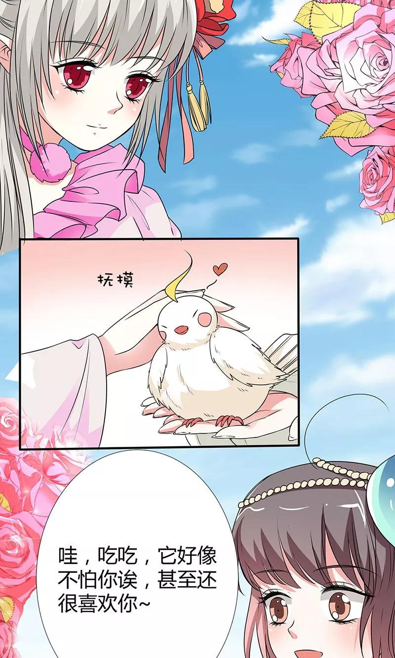 第3季56话 情缘树-第198话