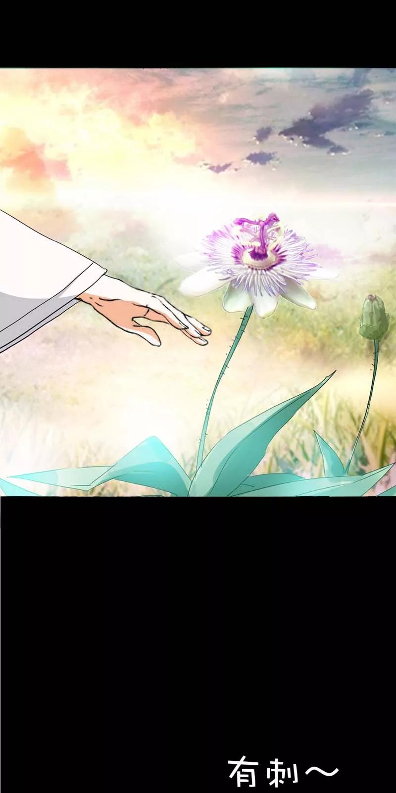 第36话 再多的追求者又有何-第38话