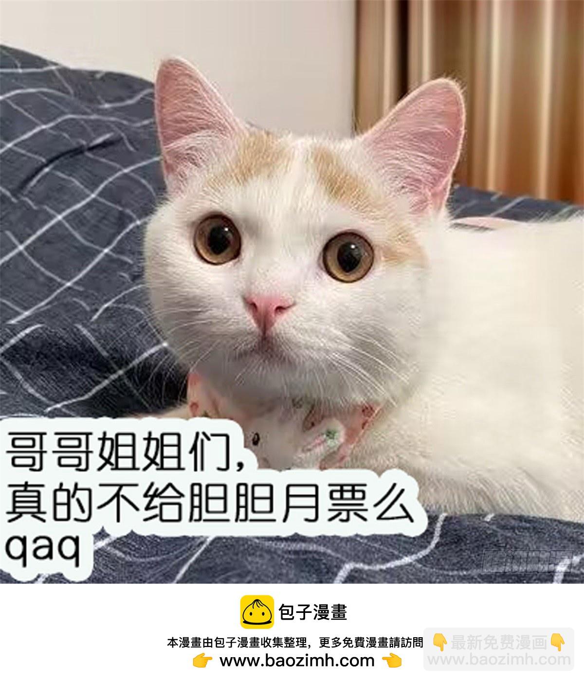 第83话 你不曾爱过我-第86话