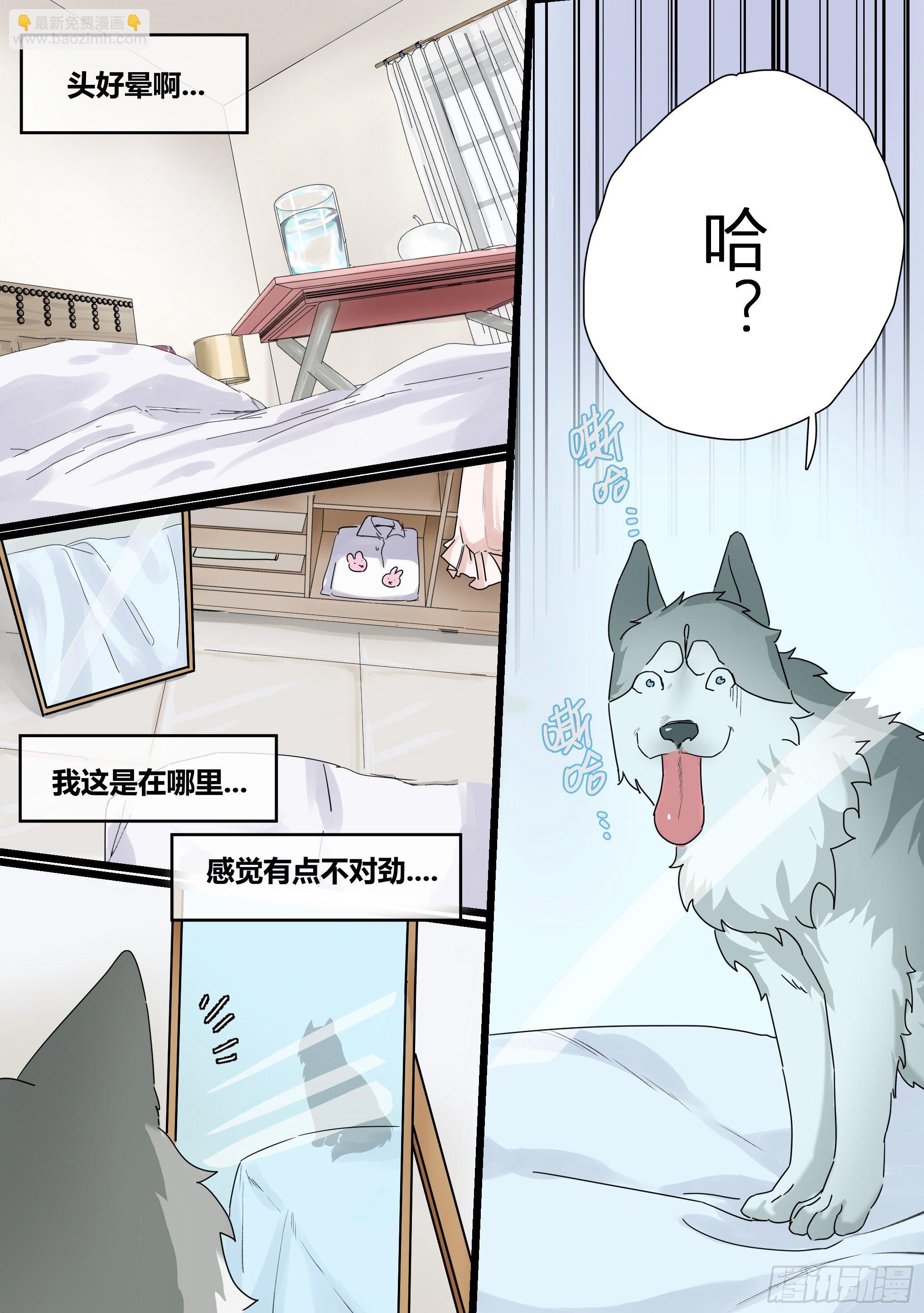 1-我为什么变成了狗？！-第2话