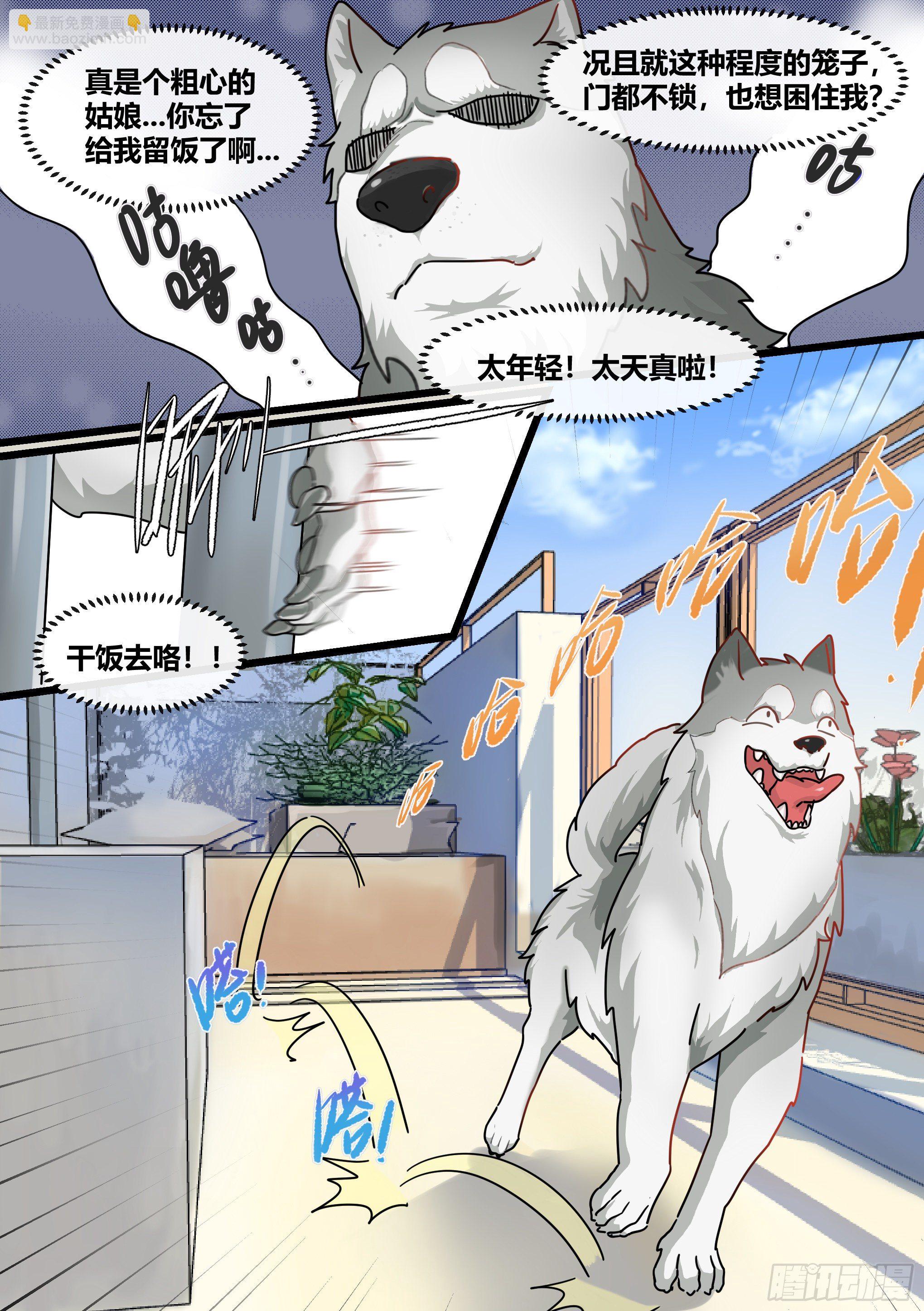 1-我为什么变成了狗？！-第2话