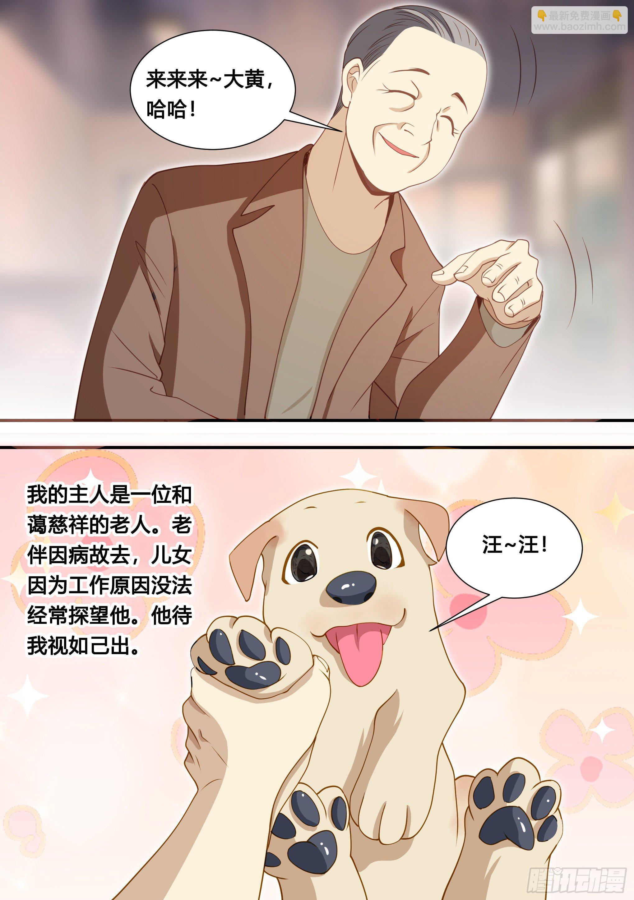 127-流浪狗的苦难生活-第128话