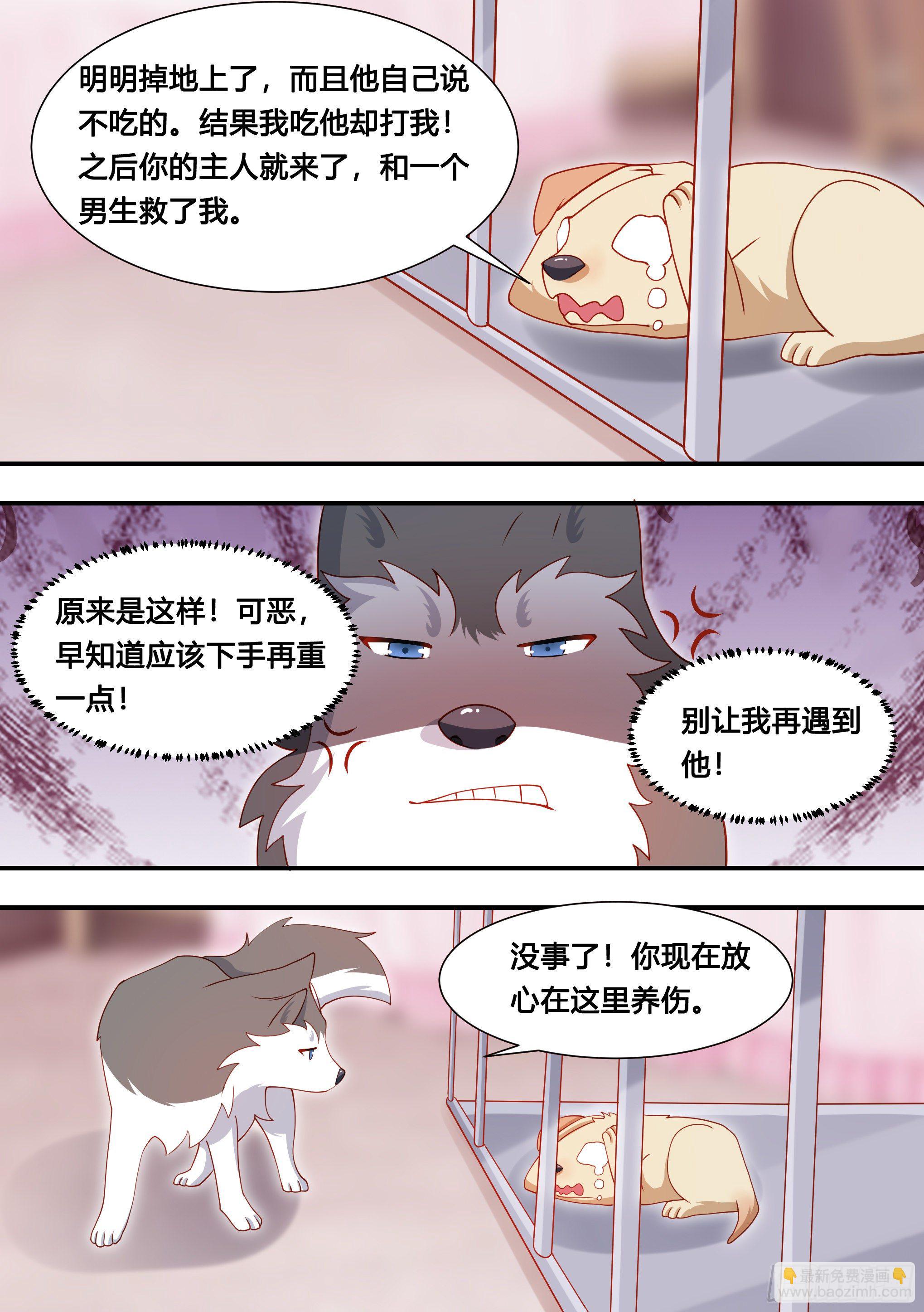 127-流浪狗的苦难生活-第128话