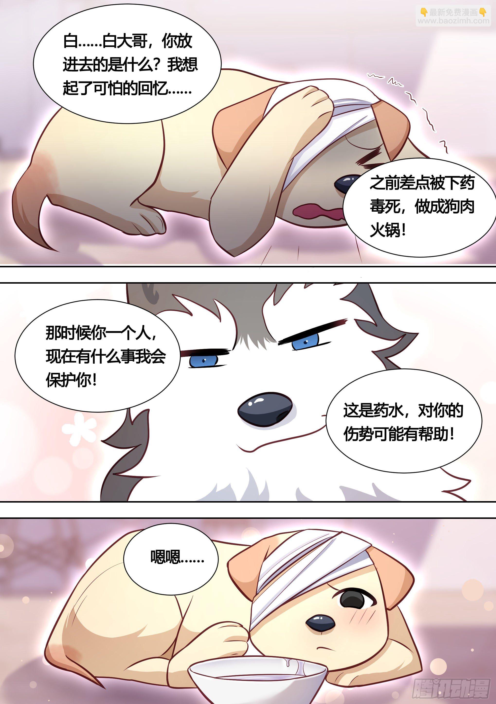 139-一只想做咸鱼的狗-第140话