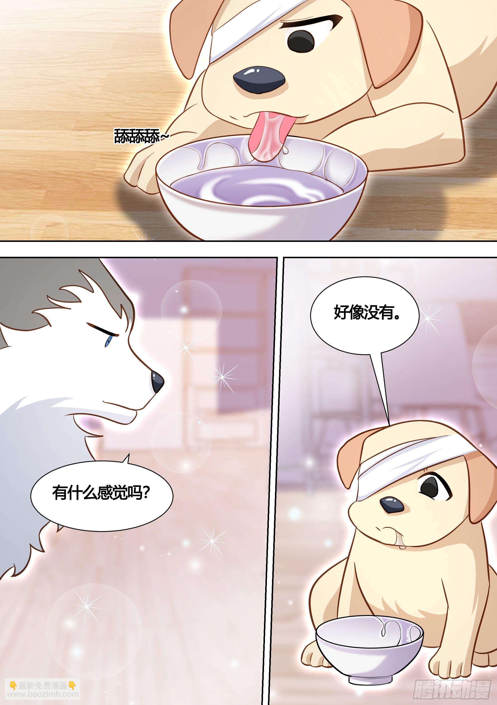 139-一只想做咸鱼的狗-第140话