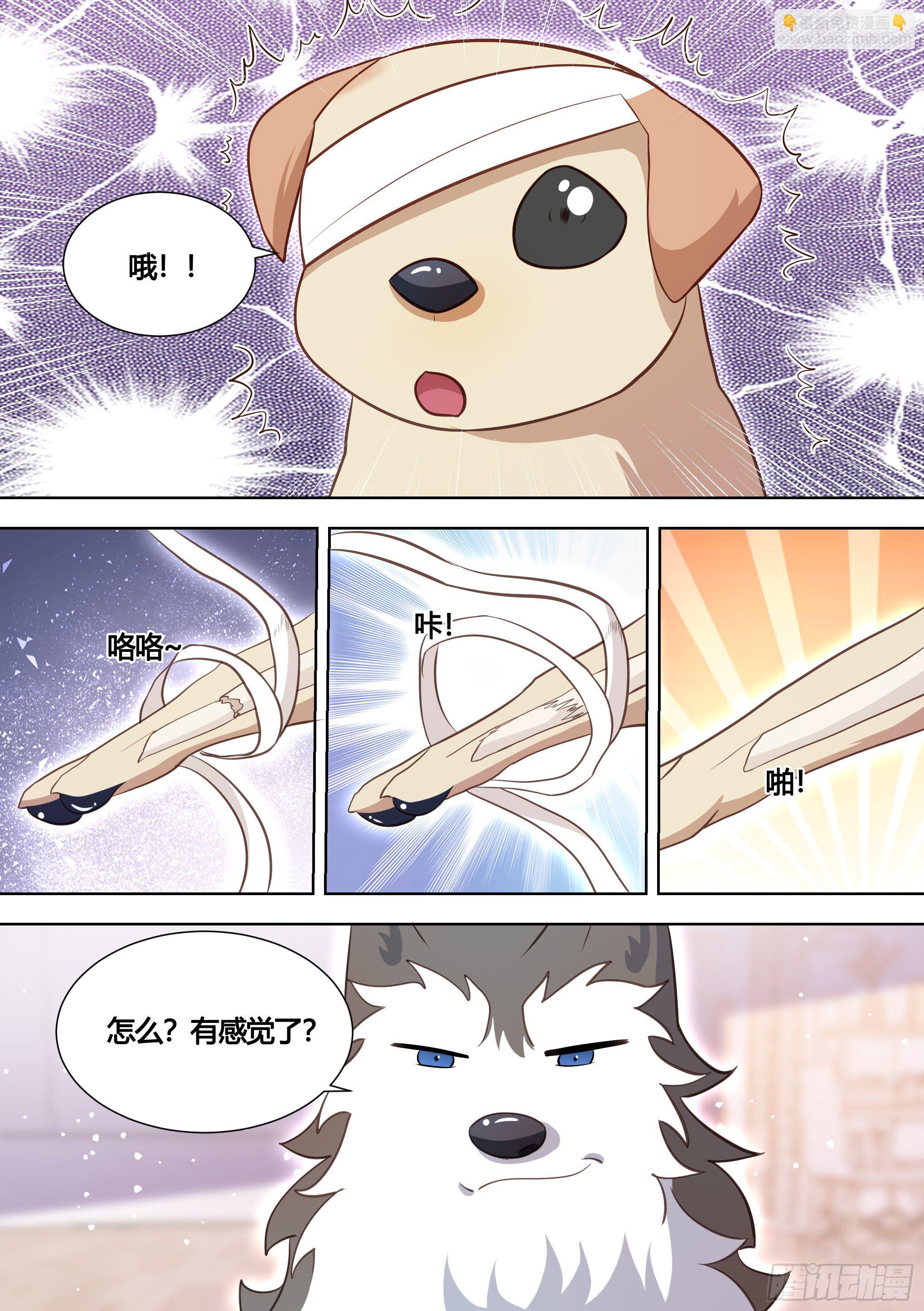 139-一只想做咸鱼的狗-第140话