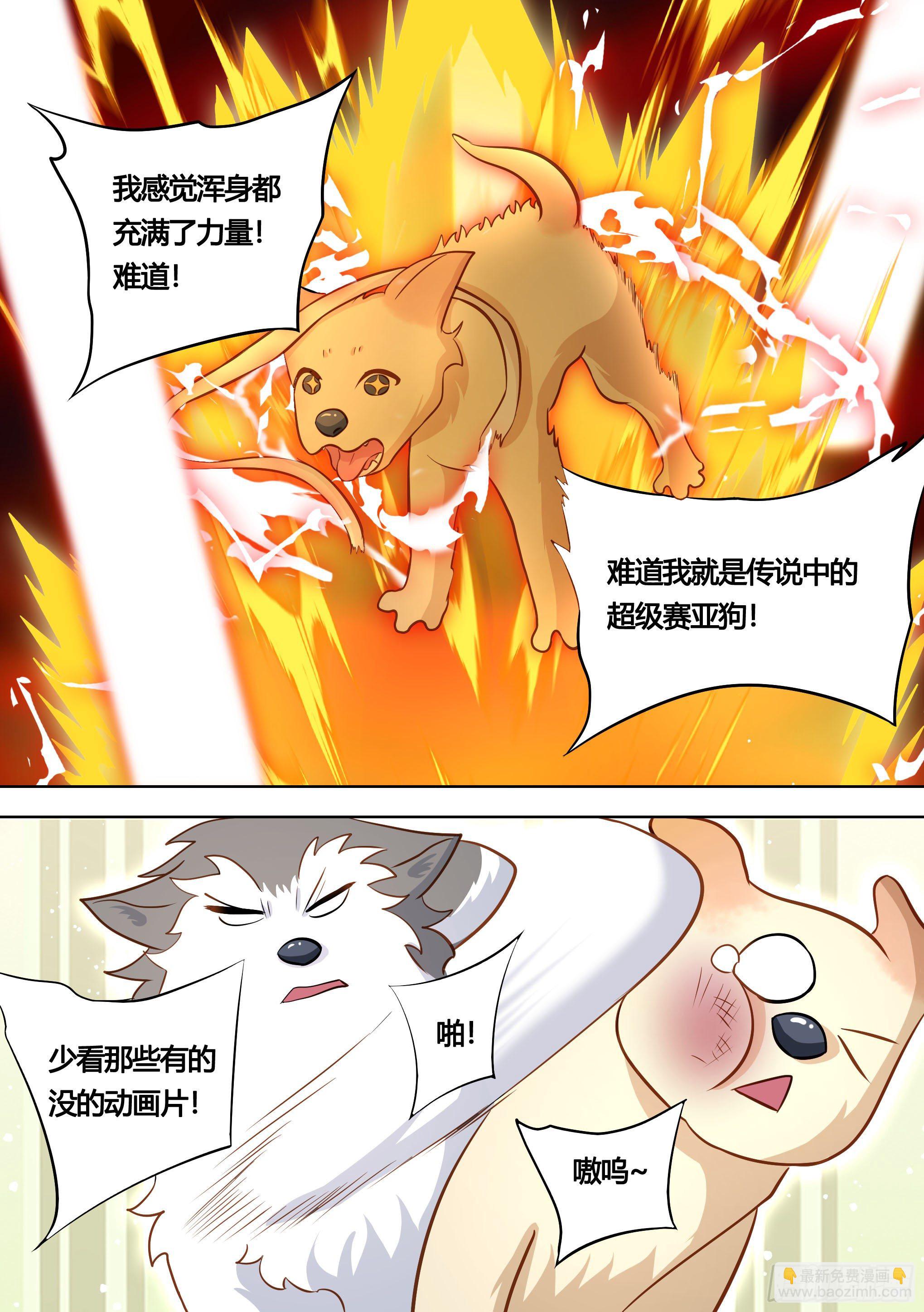 139-一只想做咸鱼的狗-第140话