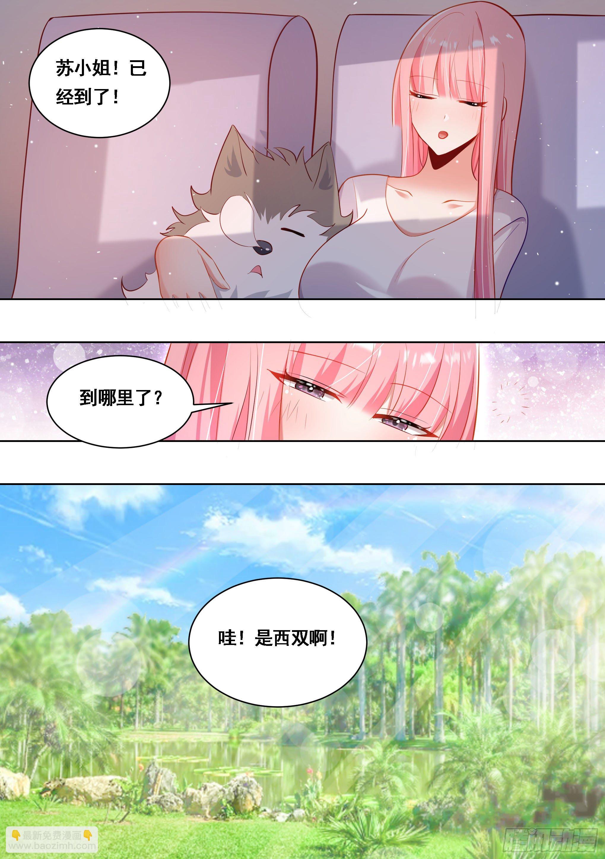 178-拆家准备-第180话