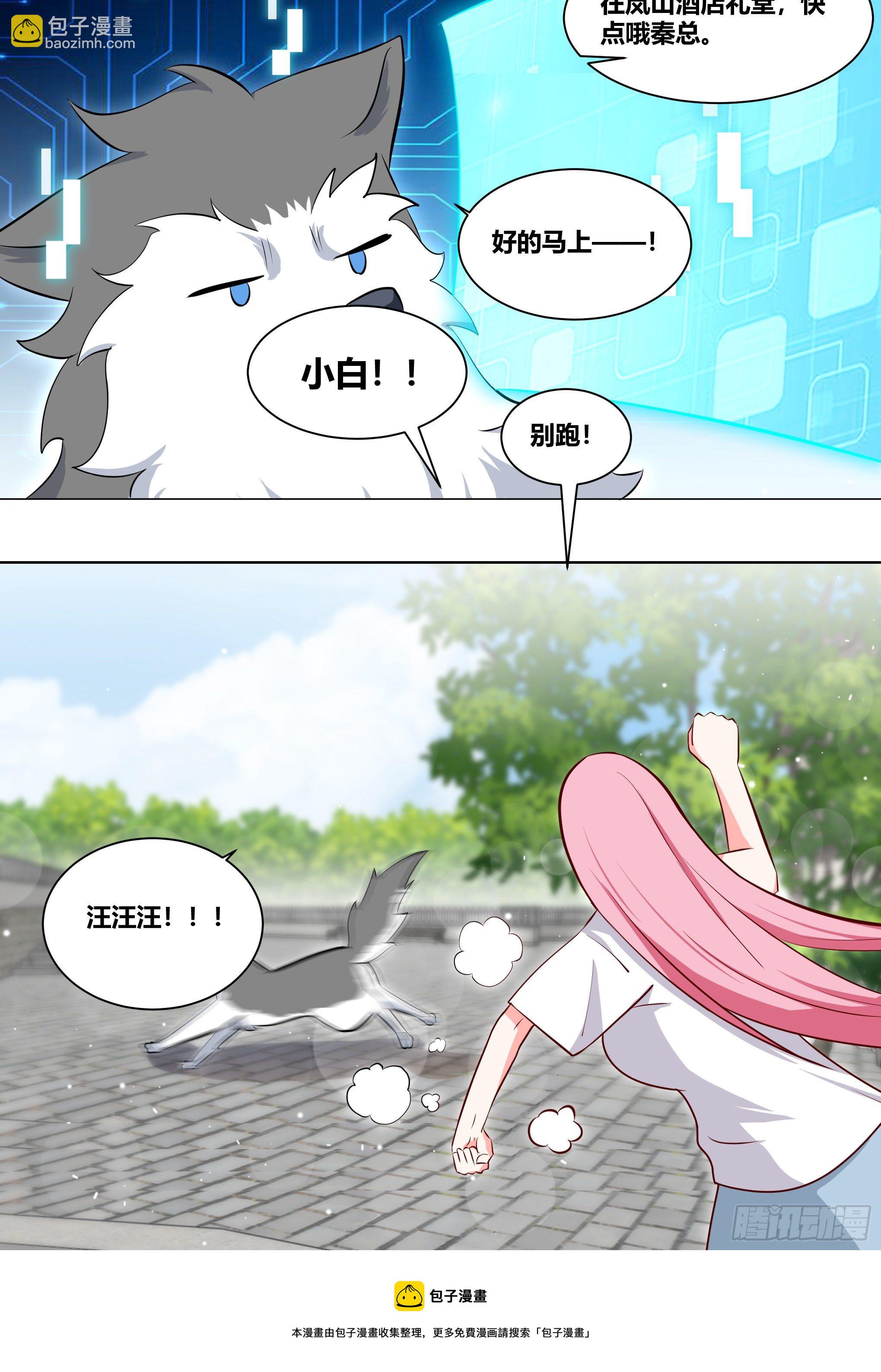 216-发布会-第218话