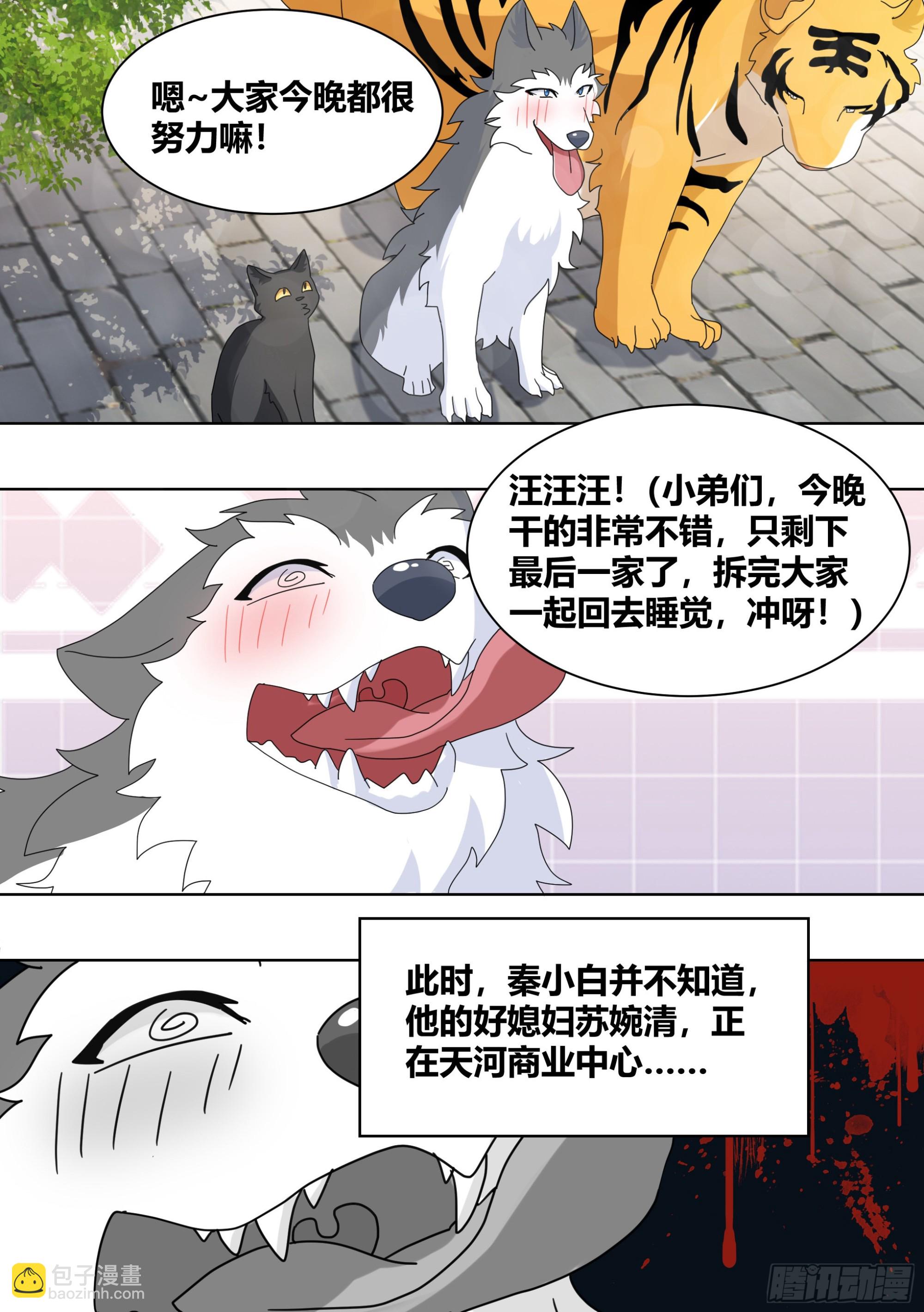 260-真正的王-第262话