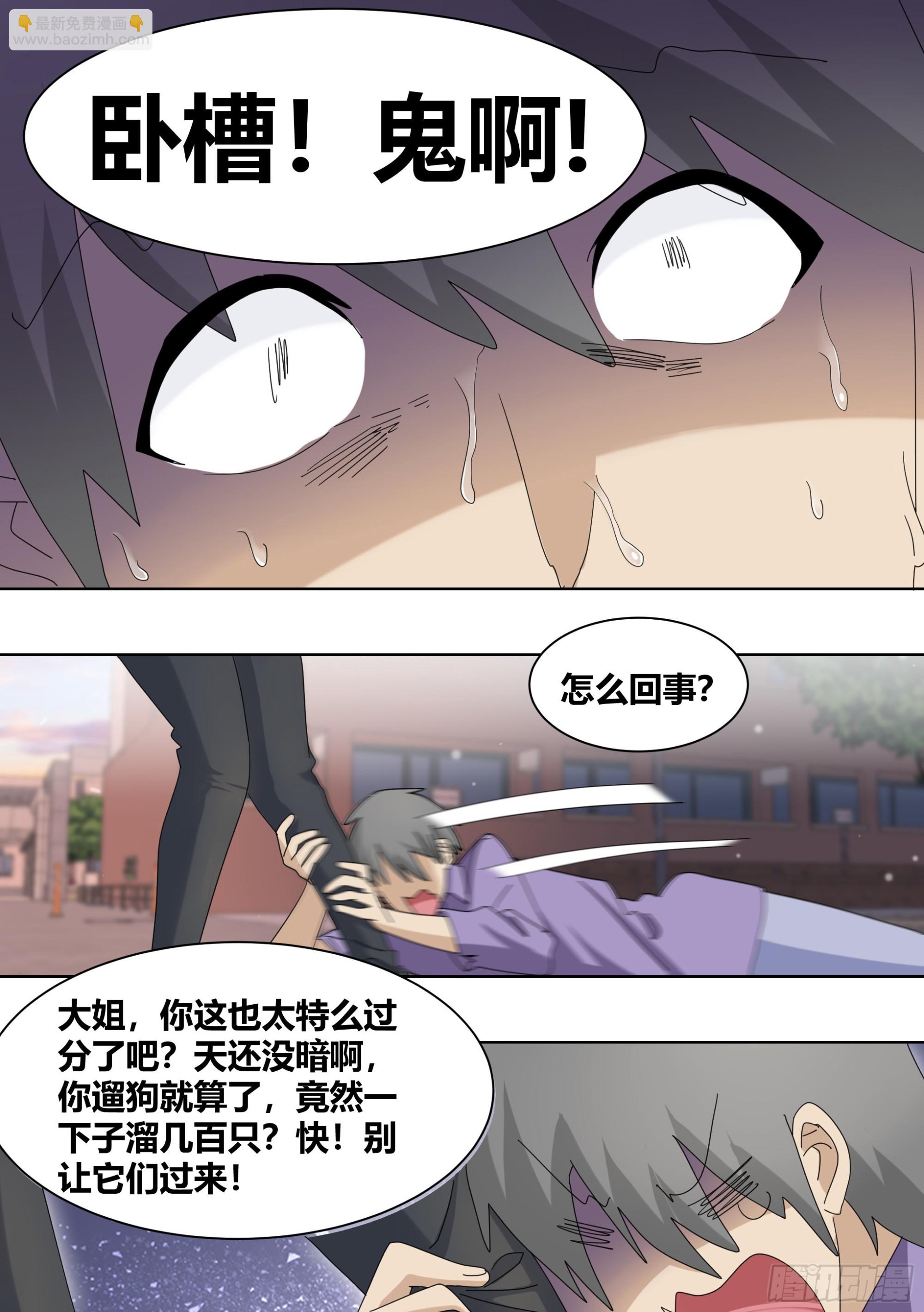 262-遛一百只狗？-第264话