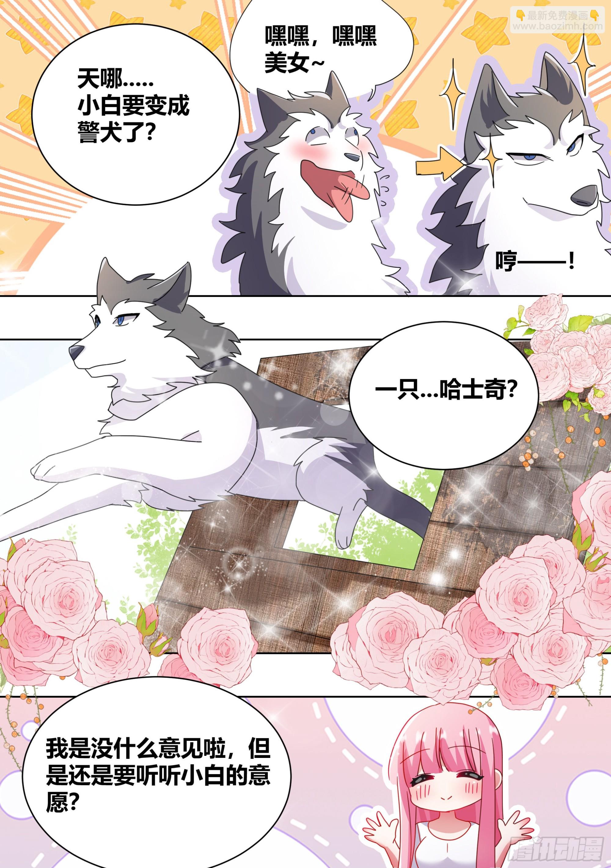 264-三只平头哥-第266话