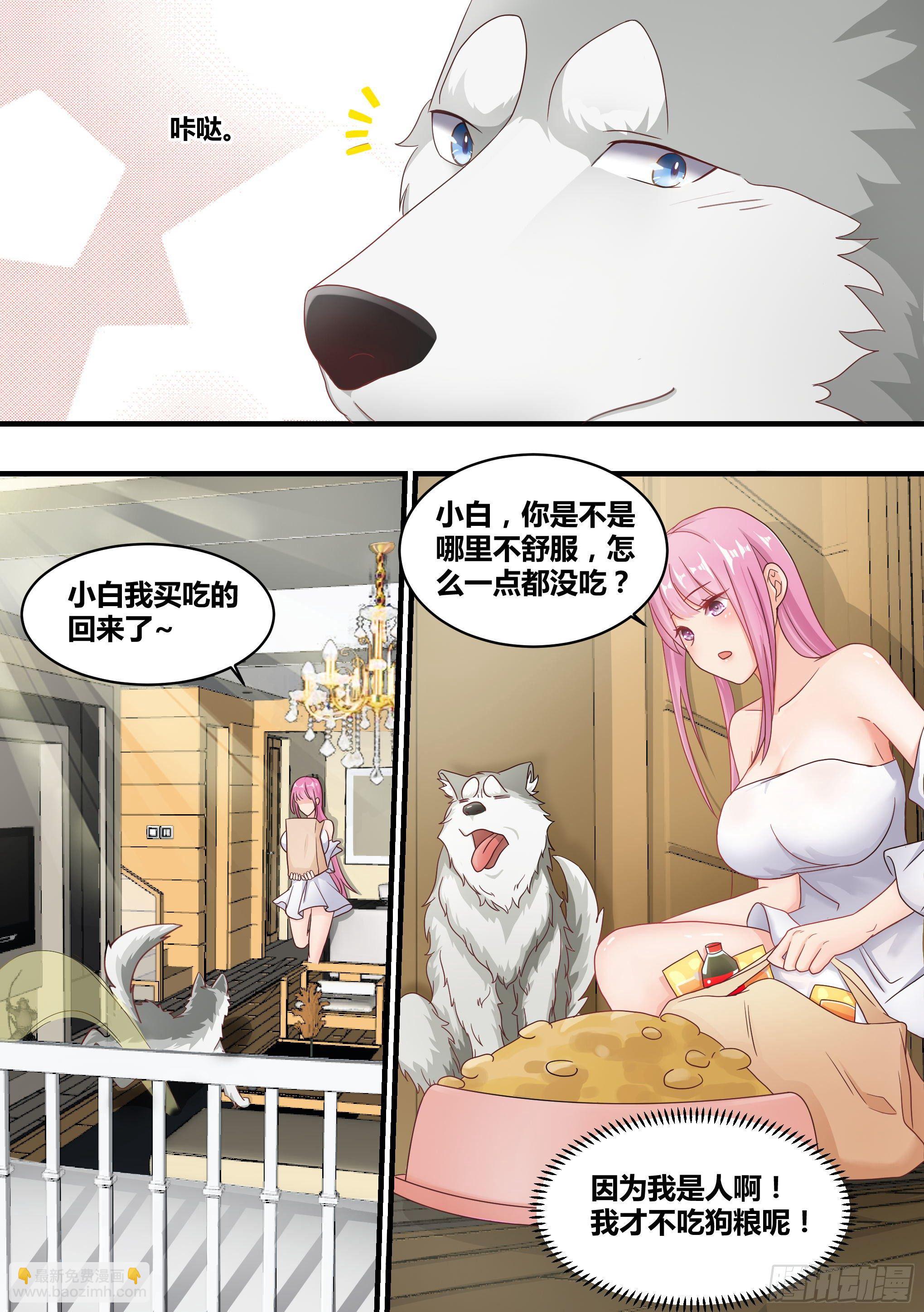 3-欺负我的人，你凉了-第4话