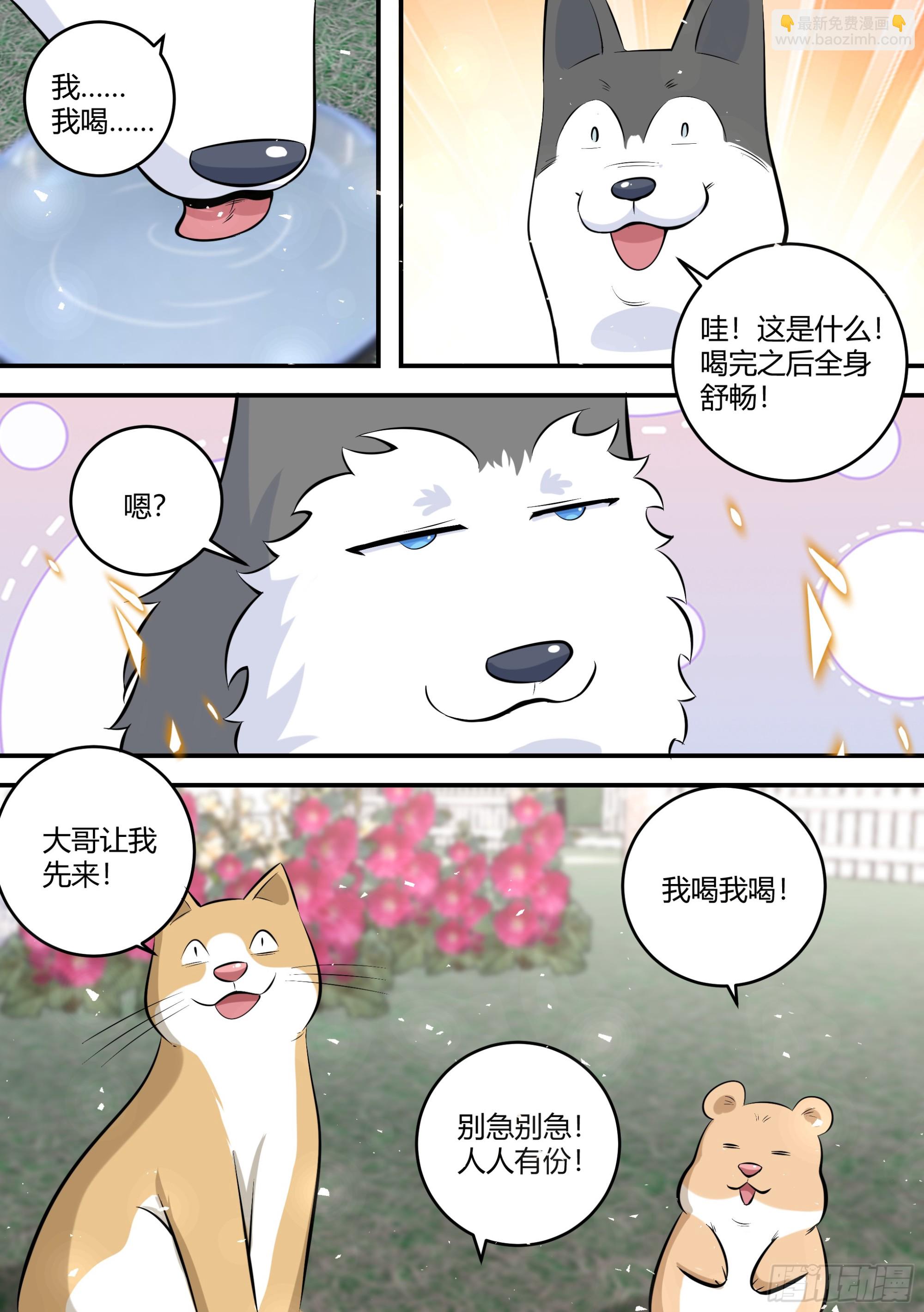 454-小白，是你吗？-第456话