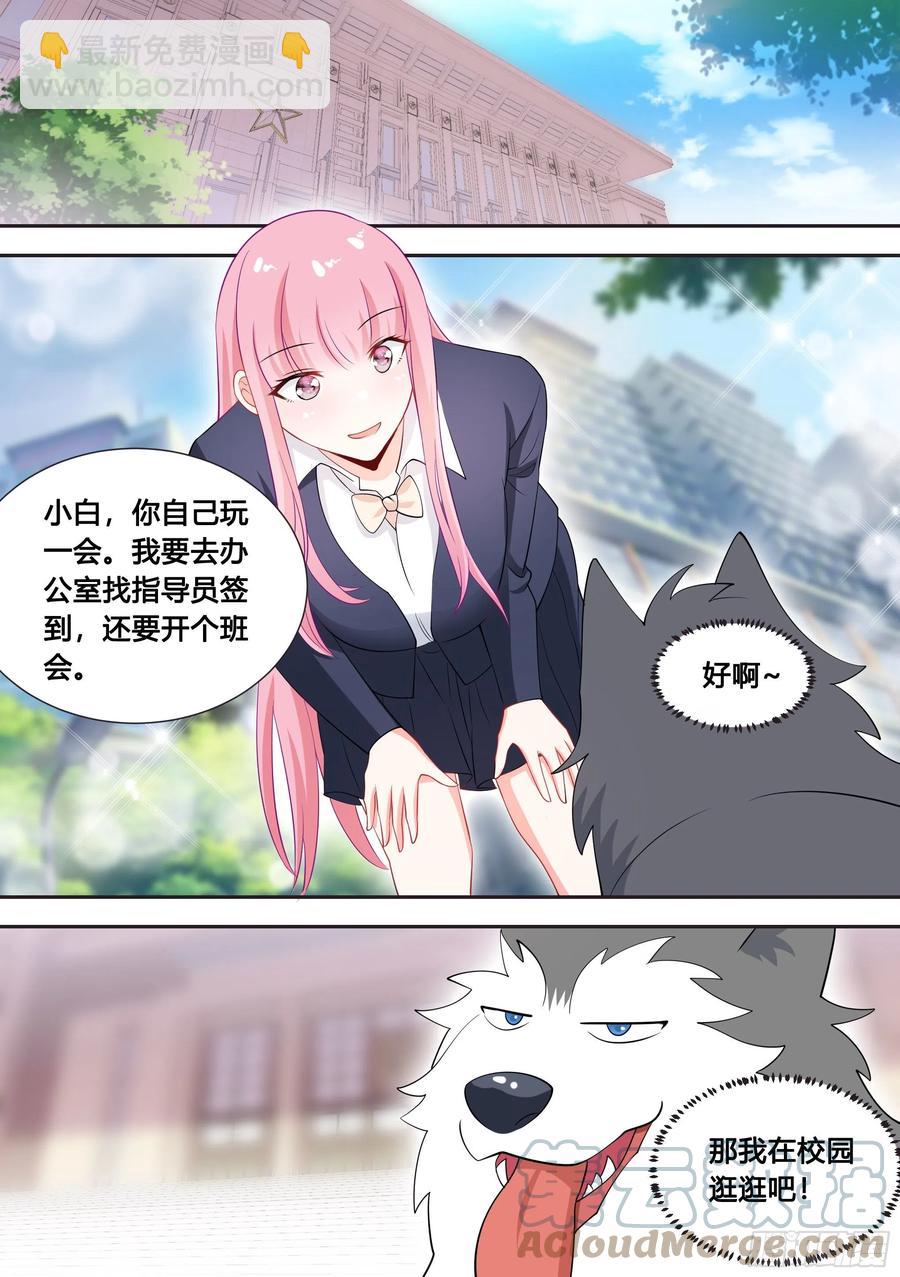 87-二哈也要上学？-第88话