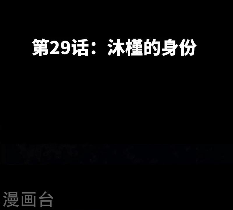 第29话 沐槿的身份-第30话