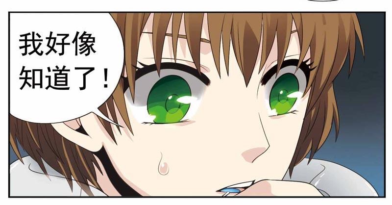 🍲致幻毁灭者 217 第7页