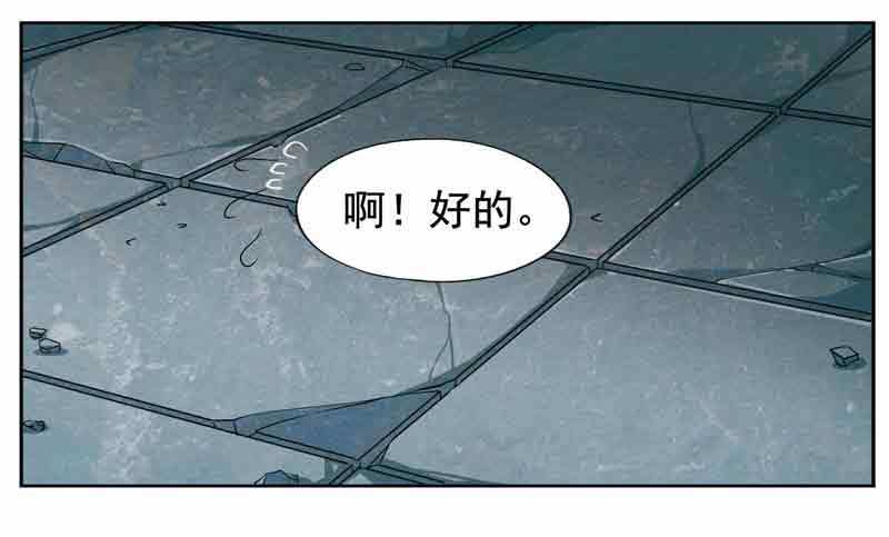 🍲致幻毁灭者 241 第4页