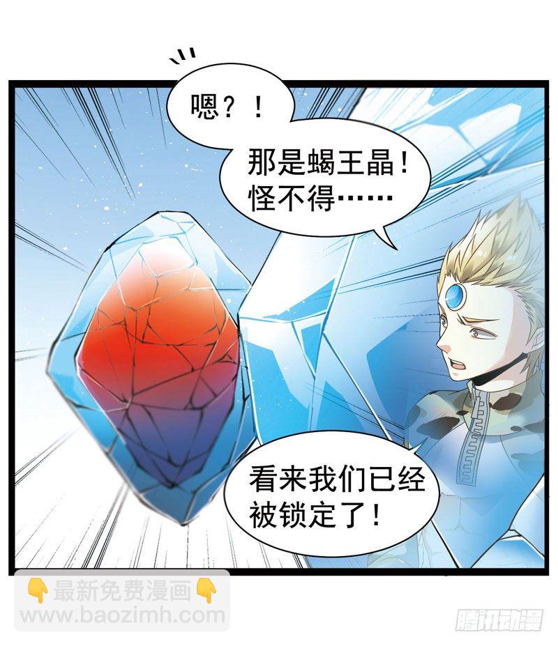 🍲致幻毁灭者 335 第3页