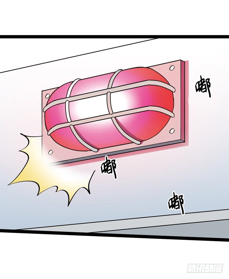 🍲致幻毁灭者 515 第3页