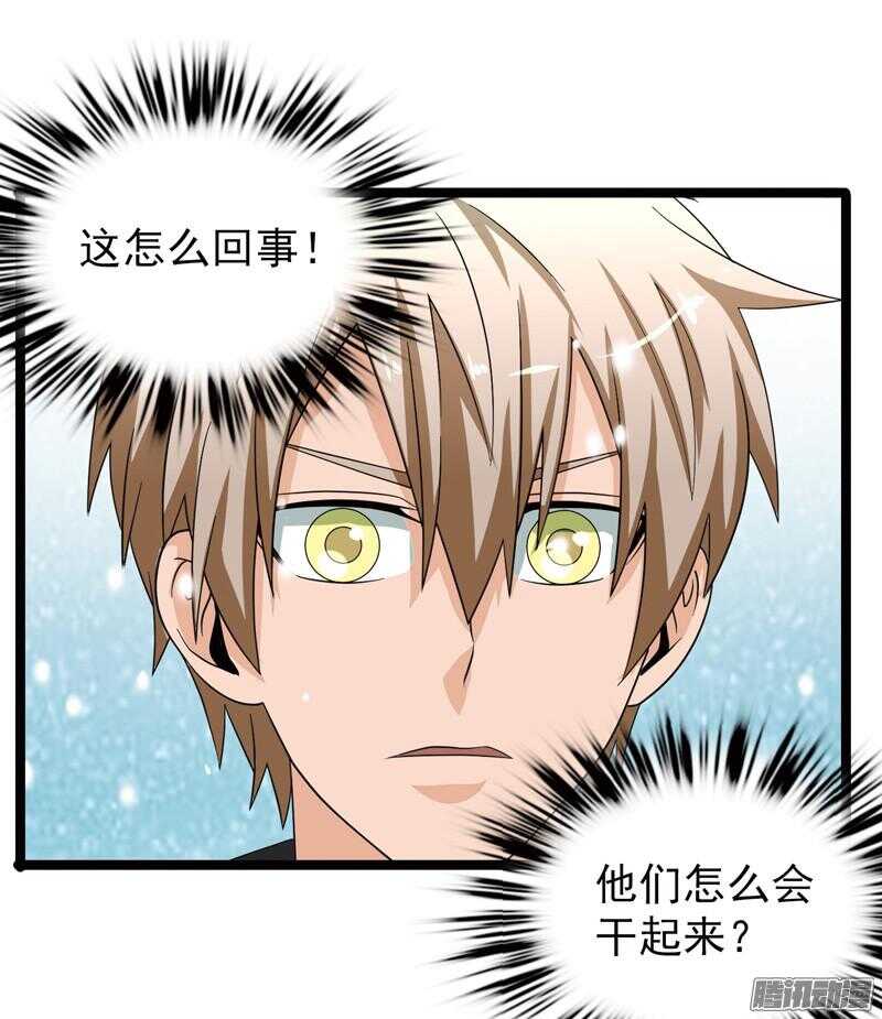 🍲致幻毁灭者 571 第5页