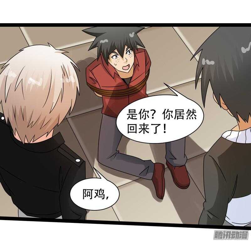 🍲致幻毁灭者 617 第4页