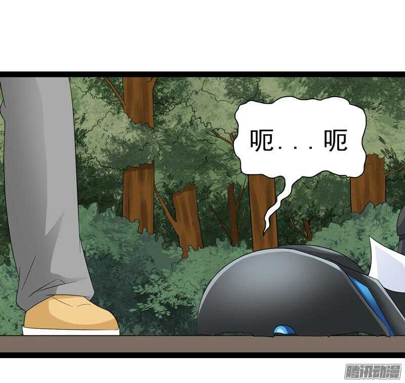 🍲致幻毁灭者 649 第11页