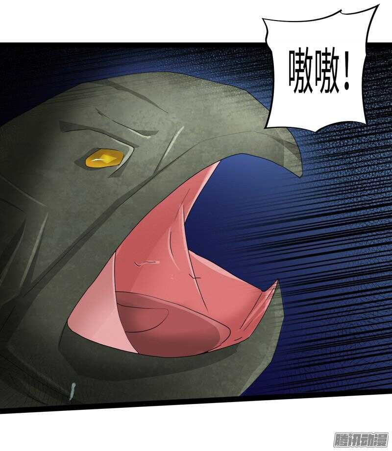 🍲致幻毁灭者 683 第18页