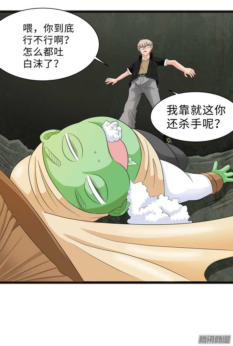 🍲致幻毁灭者 687 第20页