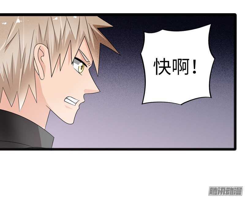 🍲致幻毁灭者 701 第13页