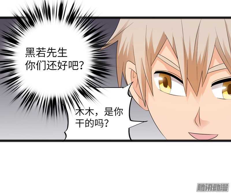 🍲致幻毁灭者 715 第4页