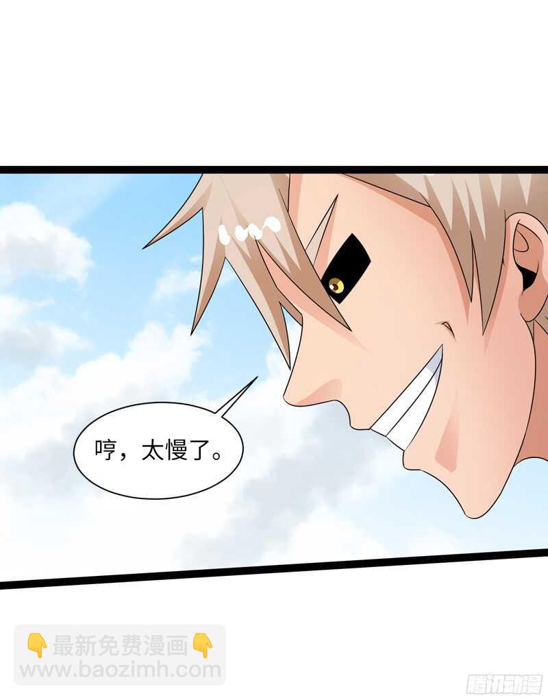 🍲致幻毁灭者 779 第11页