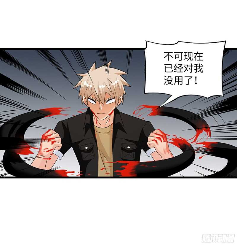 🍲致幻毁灭者 785 第17页