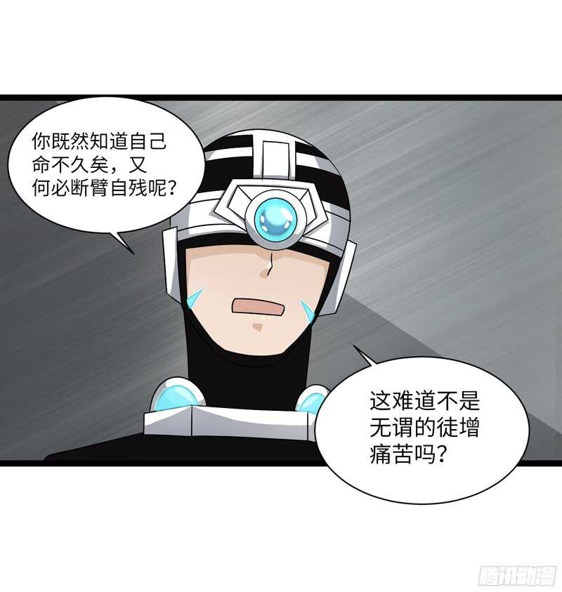 🍲致幻毁灭者 799 第6页