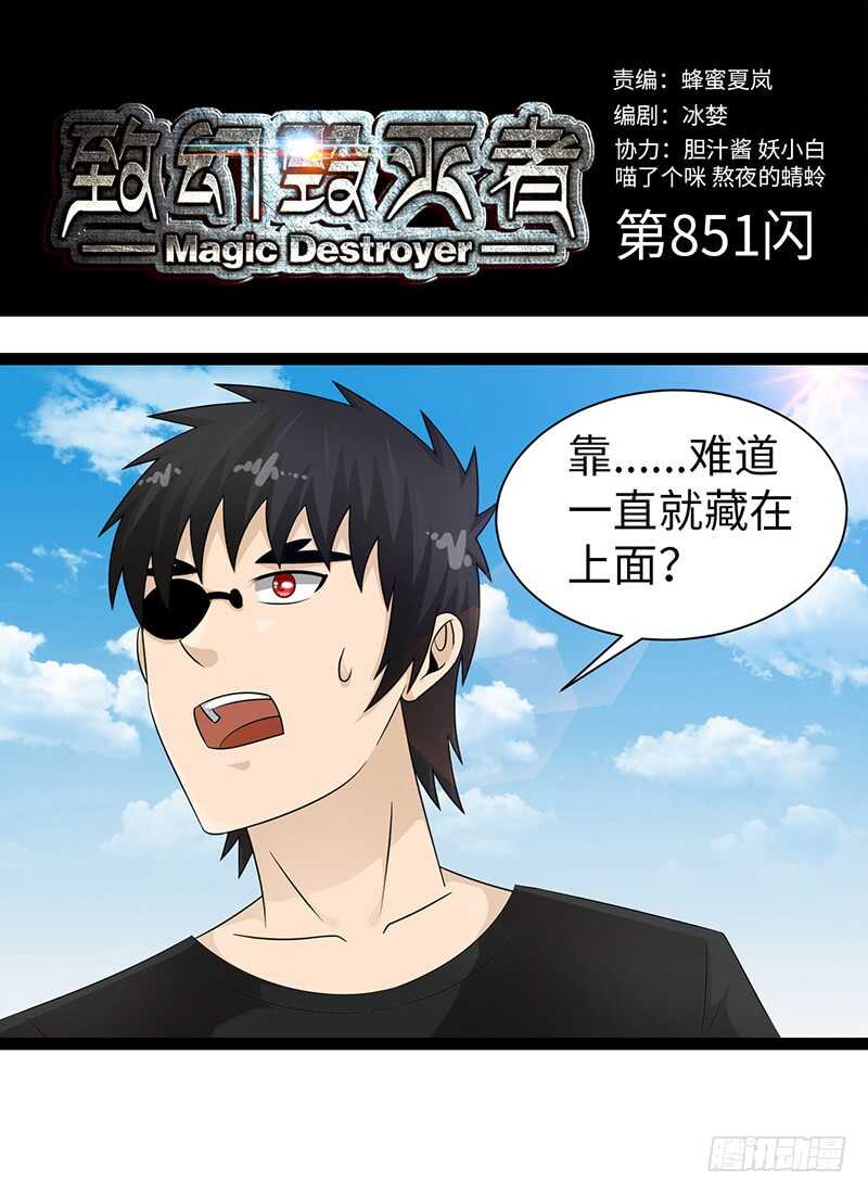 🍲致幻毁灭者 851 第1页