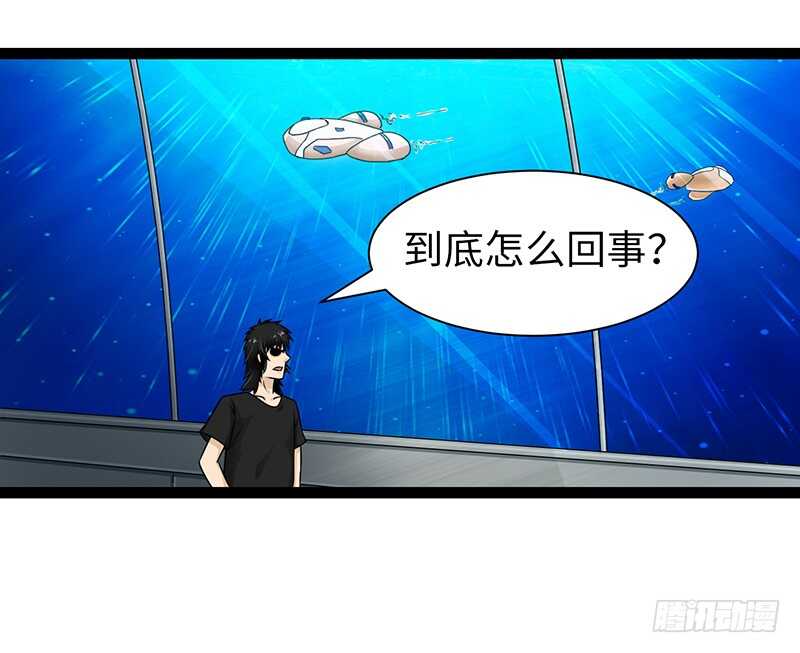 🍲致幻毁灭者 867 第8页