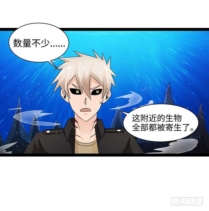 🍲致幻毁灭者 871 第4页