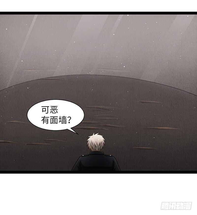 🍲致幻毁灭者 923 第9页