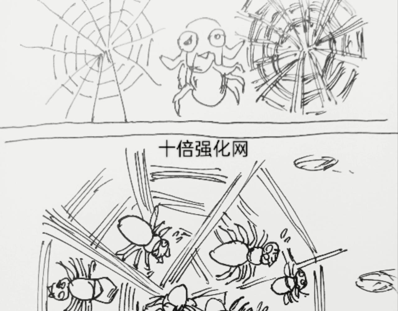 蜘蛛想拥有一双翅膀-第10话