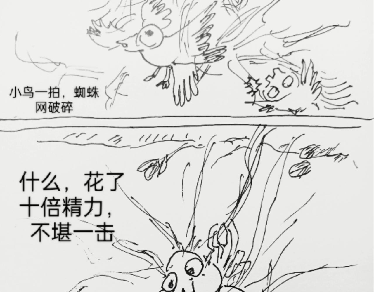 蜘蛛想拥有一双翅膀-第10话