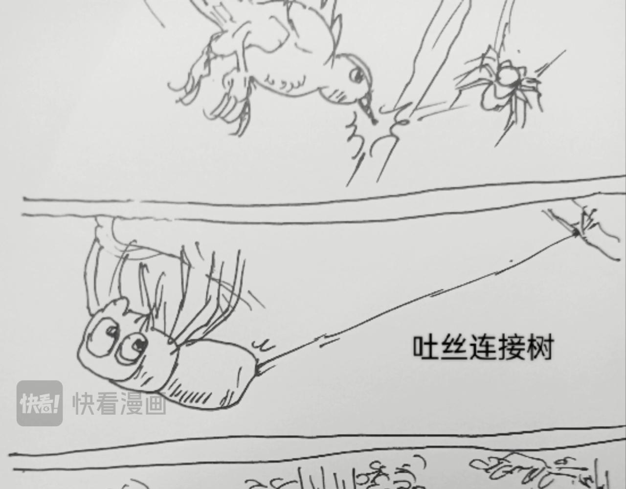 蜘蛛想拥有一双翅膀-第10话