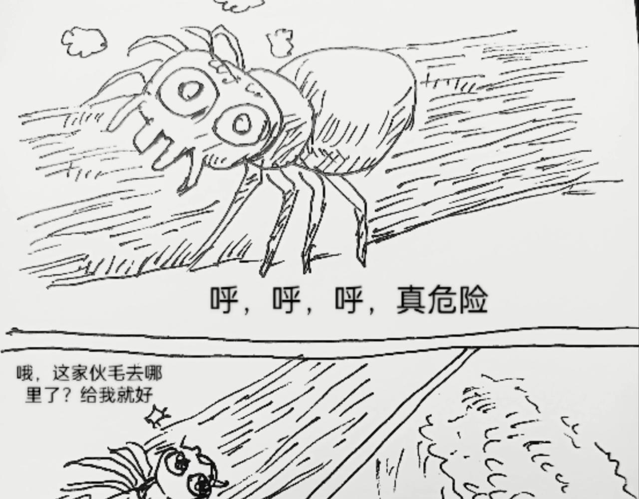 蜘蛛想拥有一双翅膀-第10话