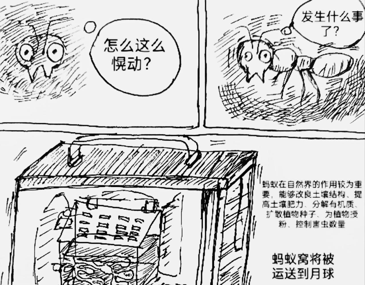 蚂蚁被送到月球-第24话