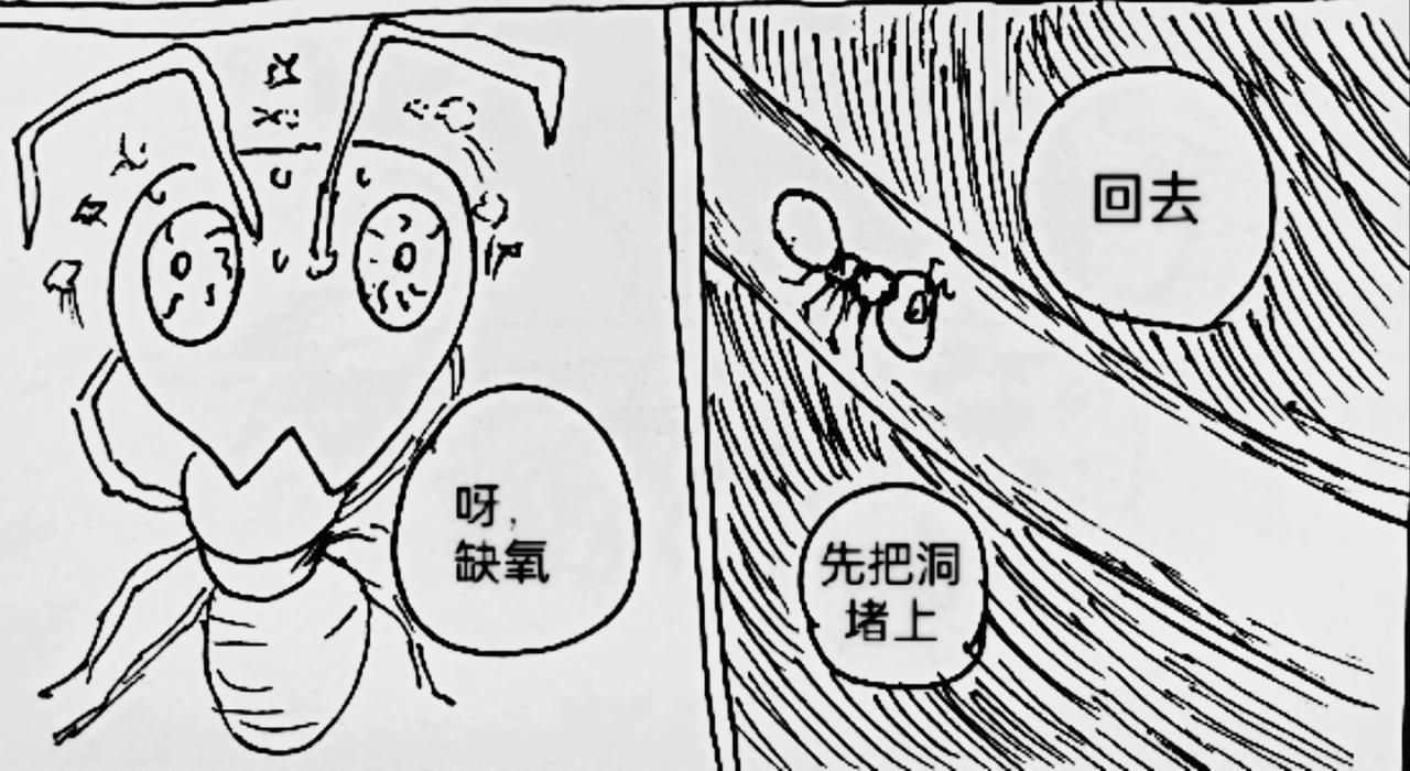 蚂蚁被送到月球-第24话