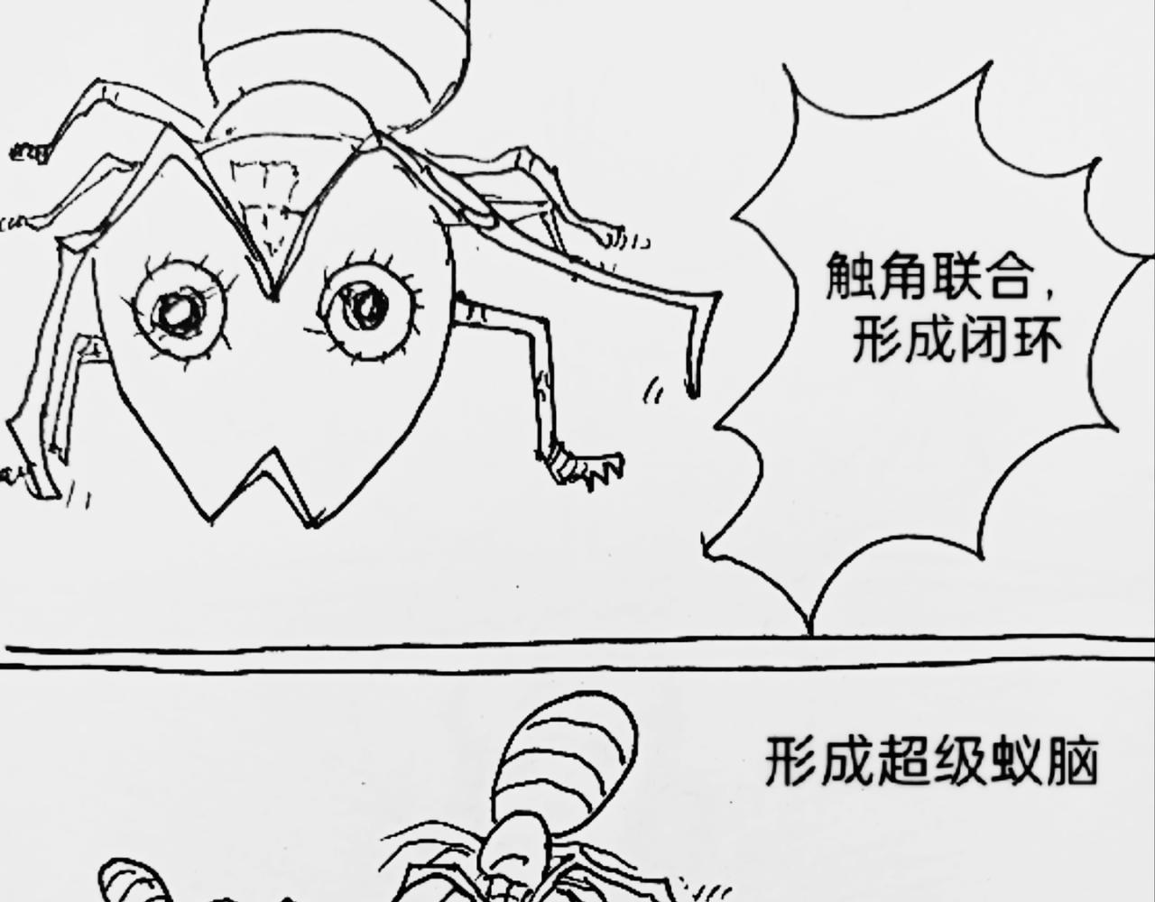 蚂蚁被送到月球-第24话
