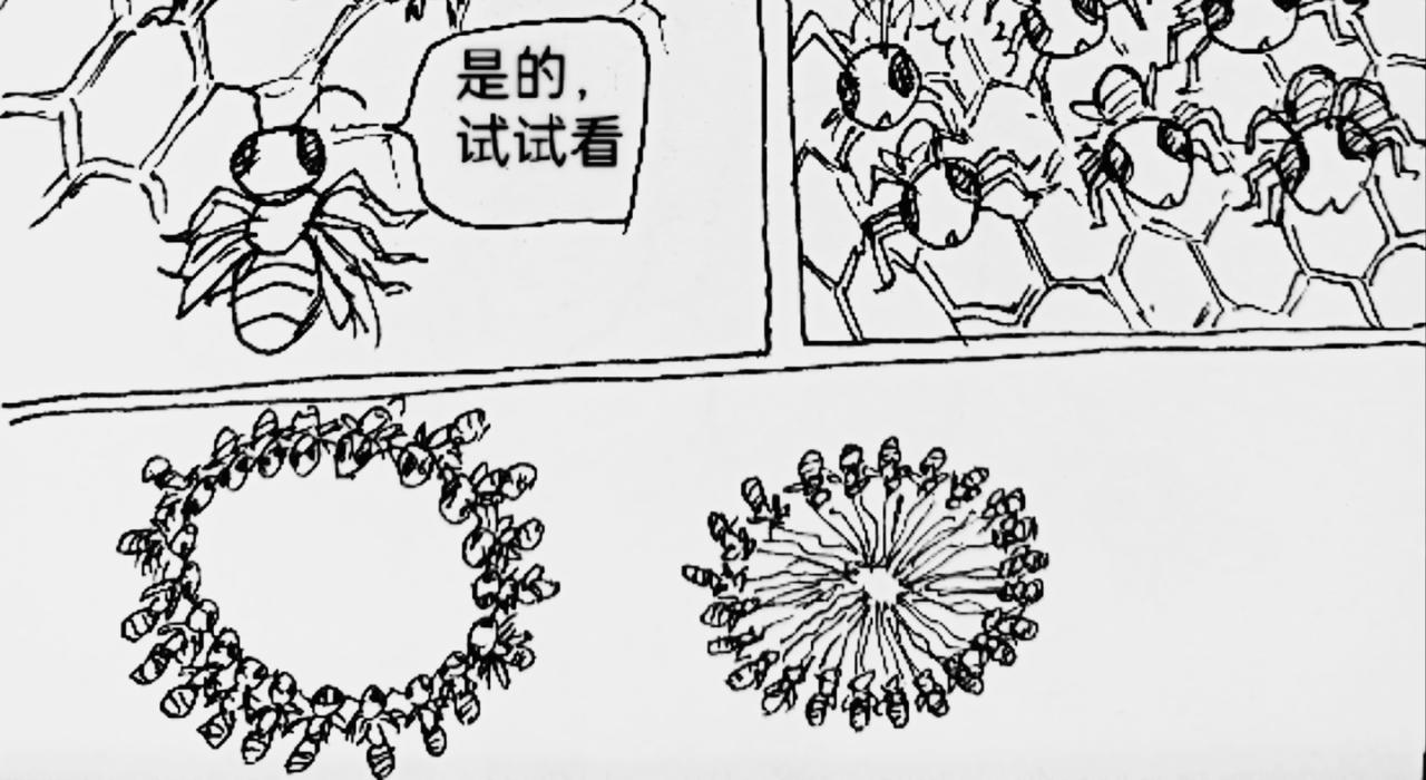 火种传说-第26话