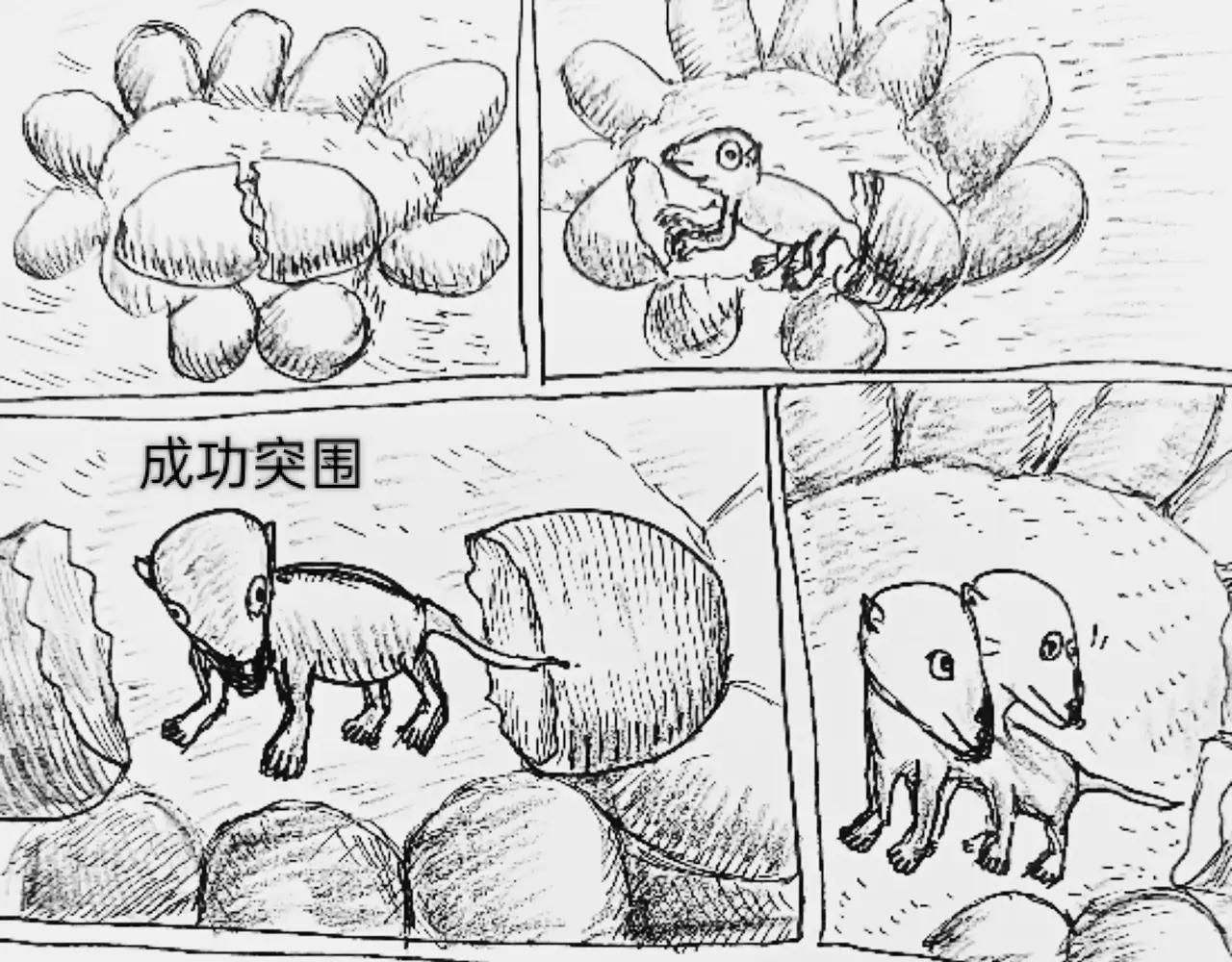 哺乳动物出现-第66话