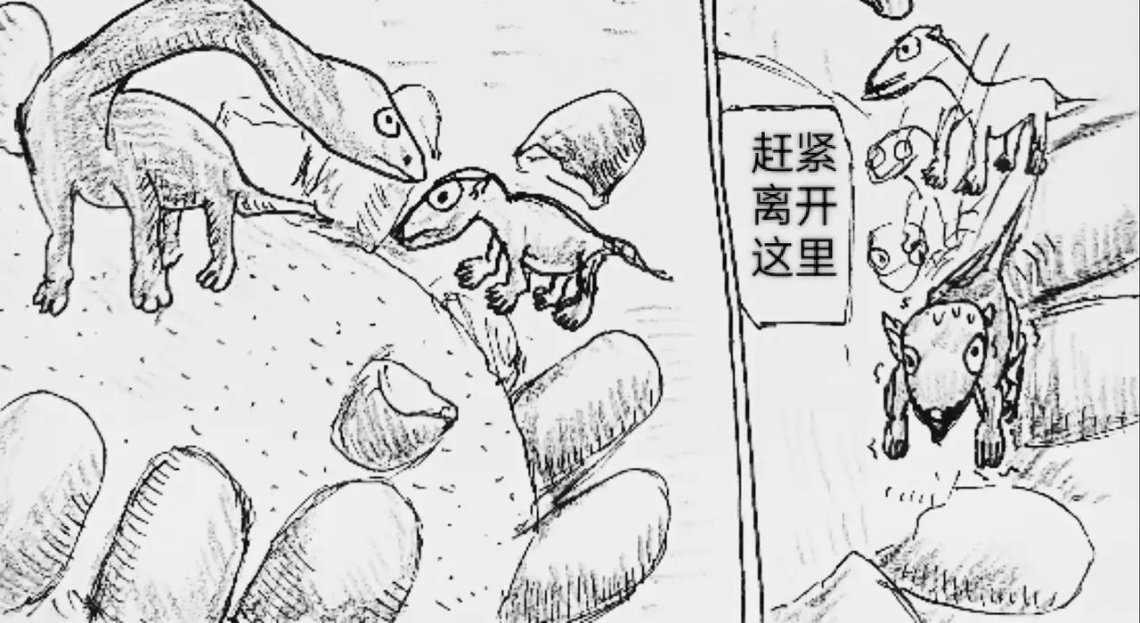 哺乳动物出现-第66话