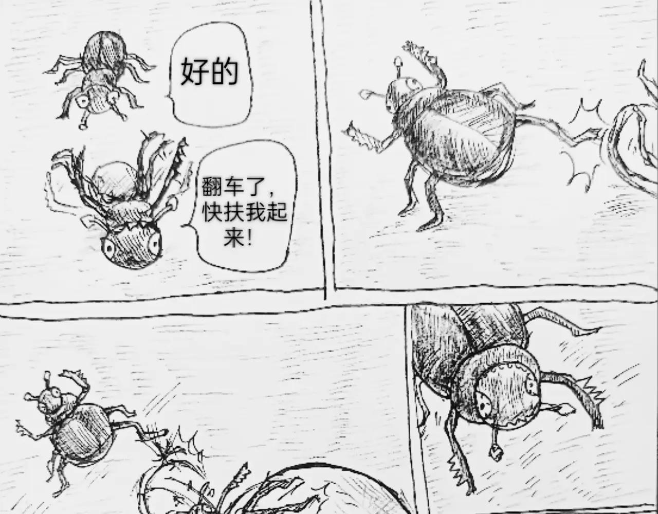 哺乳动物出现-第66话