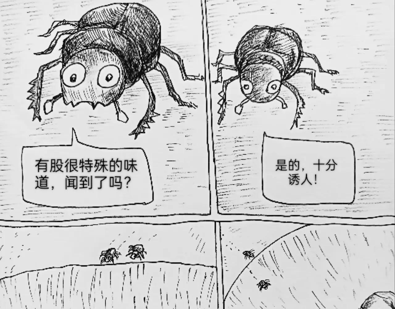 哺乳动物出现-第66话